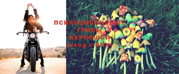 а пвп мука Абдулино