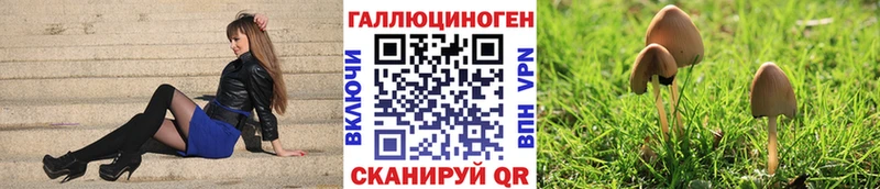 где купить наркоту  Красный Сулин  Галлюциногенные грибы мицелий 
